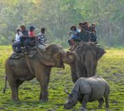 Home of the Big Five