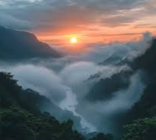 Shillong Cherry Escape